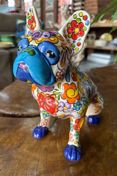 BULDOG FRANCÊS TAVAVERA MEXICANO