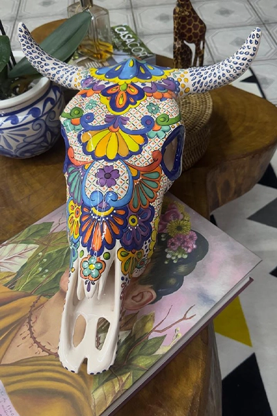 CABEÇA DE BOI MEXICANA