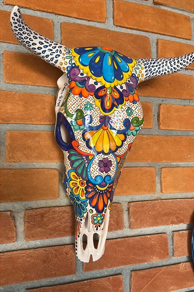 CABEÇA DE BOI MEXICANA 2 CABEÇA DE BOI MEXICANA - Imagem 2